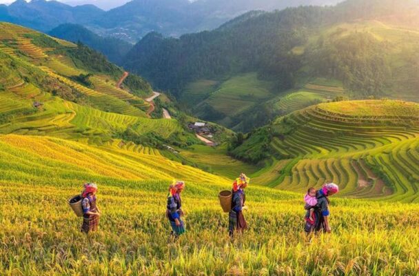 Cho Thuê Xe Đi Yên Bái Giá Rẻ Uy Tín Tại Hà Nội 7 thue xe di yen bai 2