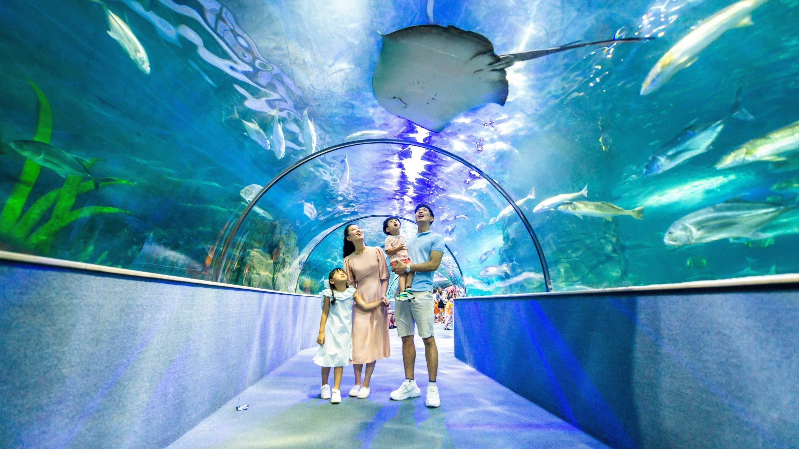 VinKE & Vinpearl Aquarium | Official website