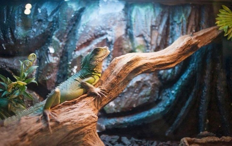 Khám Phá Top 3 Khu Vui Chơi Thuỷ Cung Ở Hà Nội Không Thể Bỏ Lỡ 9 khu vui chơi thuỷ cung ở hà nội