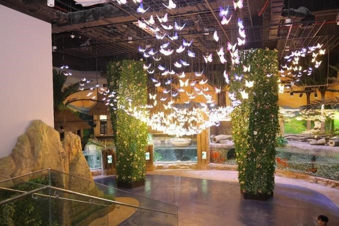 Khám Phá Top 3 Khu Vui Chơi Thuỷ Cung Ở Hà Nội Không Thể Bỏ Lỡ 10 cap-nhat-gia-ve-3-thuy-cung-o-ha-noi-gioi-tre-khong-the-bo-qua-n17t-onehousing-1