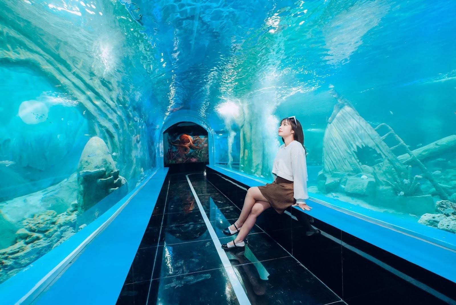 Khám Phá Top 3 Khu Vui Chơi Thuỷ Cung Ở Hà Nội Không Thể Bỏ Lỡ 13 cap-nhat-gia-ve-3-thuy-cung-o-ha-noi-gioi-tre-khong-the-bo-qua-n17t-onehousing-1