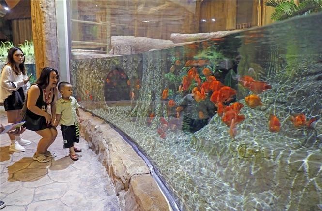 Khám Phá Top 3 Khu Vui Chơi Thuỷ Cung Ở Hà Nội Không Thể Bỏ Lỡ 11 khu vui chơi thuỷ cung ở hà nội